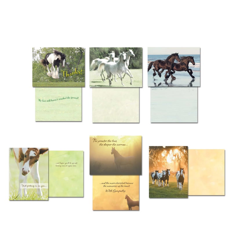Leanin' Tree Horse Country - Made in USA - 20 Assorted Cards with Envelopes All Occasion, Greeting Cards Assortment Box - Includes Birthday, Blank Notecards with Envelope, Thank You, Sympathy and More - Image 5